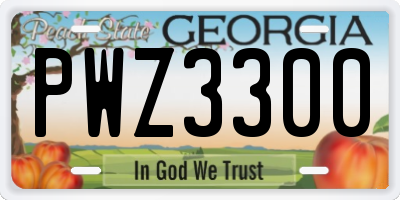 GA license plate PWZ3300