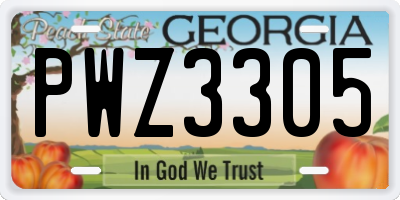 GA license plate PWZ3305