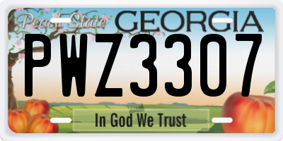 GA license plate PWZ3307