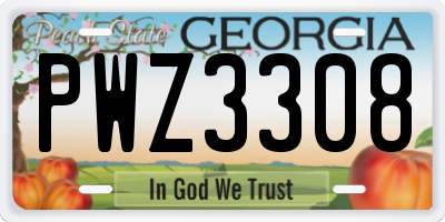 GA license plate PWZ3308
