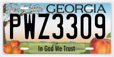 GA license plate PWZ3309