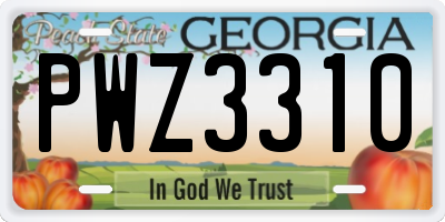 GA license plate PWZ3310