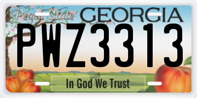 GA license plate PWZ3313