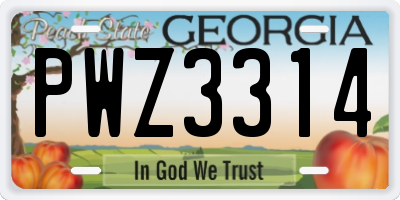 GA license plate PWZ3314