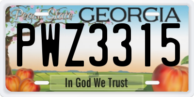 GA license plate PWZ3315