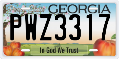 GA license plate PWZ3317