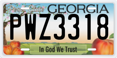 GA license plate PWZ3318