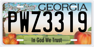 GA license plate PWZ3319