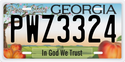 GA license plate PWZ3324