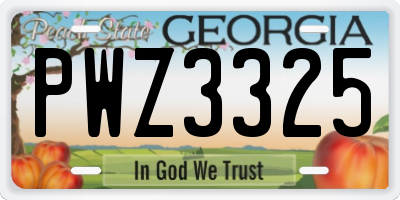 GA license plate PWZ3325