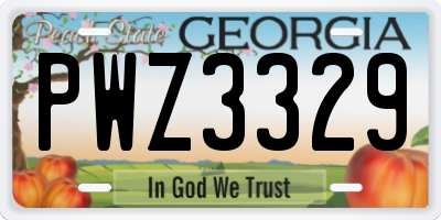 GA license plate PWZ3329