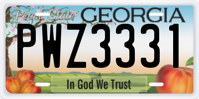 GA license plate PWZ3331