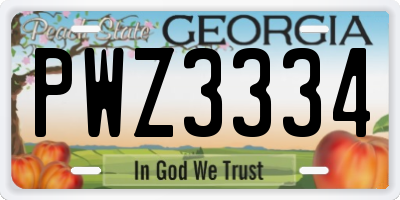 GA license plate PWZ3334