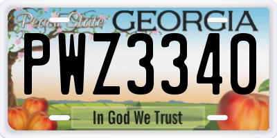 GA license plate PWZ3340