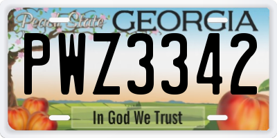 GA license plate PWZ3342