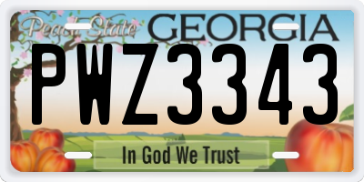 GA license plate PWZ3343