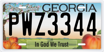 GA license plate PWZ3344