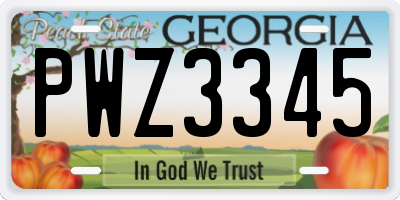 GA license plate PWZ3345