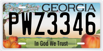 GA license plate PWZ3346