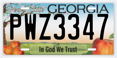GA license plate PWZ3347