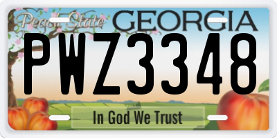 GA license plate PWZ3348