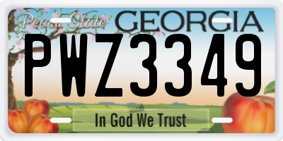 GA license plate PWZ3349