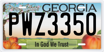 GA license plate PWZ3350