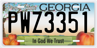 GA license plate PWZ3351