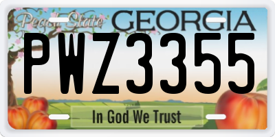 GA license plate PWZ3355