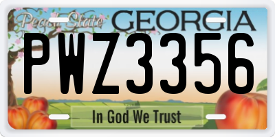 GA license plate PWZ3356
