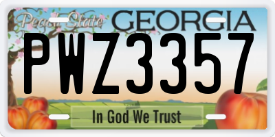 GA license plate PWZ3357
