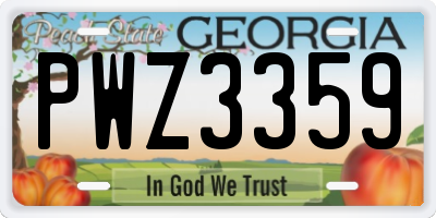 GA license plate PWZ3359