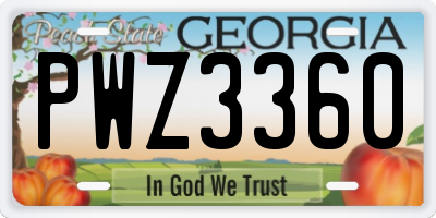 GA license plate PWZ3360