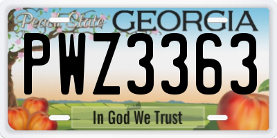 GA license plate PWZ3363