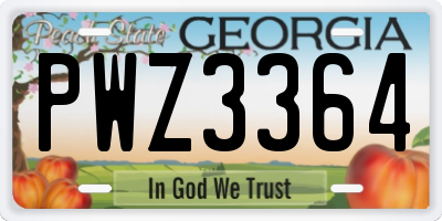 GA license plate PWZ3364