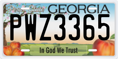 GA license plate PWZ3365