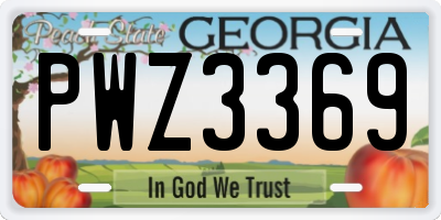 GA license plate PWZ3369