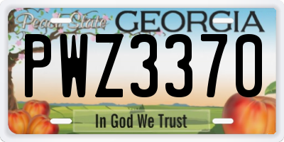 GA license plate PWZ3370