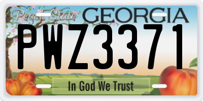 GA license plate PWZ3371