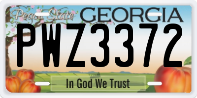 GA license plate PWZ3372