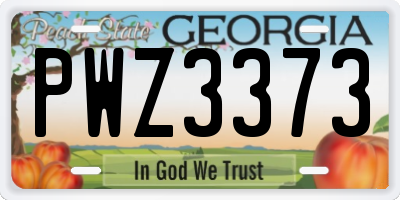 GA license plate PWZ3373