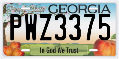 GA license plate PWZ3375
