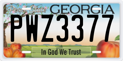 GA license plate PWZ3377