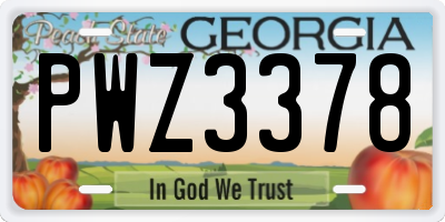 GA license plate PWZ3378