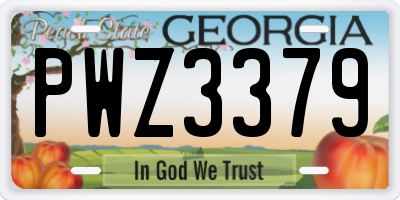 GA license plate PWZ3379