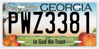 GA license plate PWZ3381