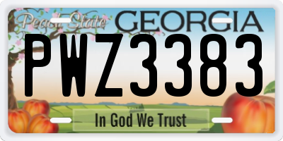 GA license plate PWZ3383
