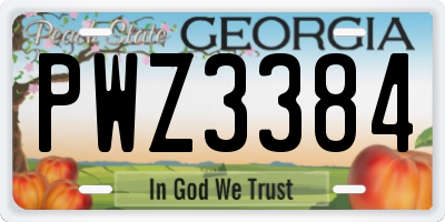 GA license plate PWZ3384