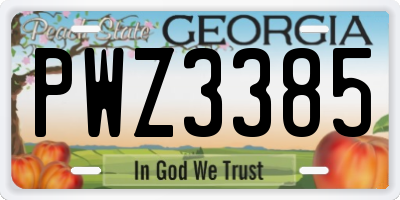 GA license plate PWZ3385