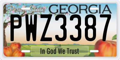 GA license plate PWZ3387